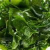 ingredient icon
